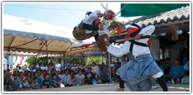 �^�ߍ����̓`���|�\�̌��𗬁i�O���E���x�E�_�x�蓙�j