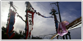 �L�N�ՃN�o�̗t�ݍ��̌���