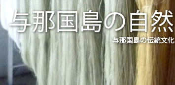 �^�ߍ����̎��R�Ɠ`������