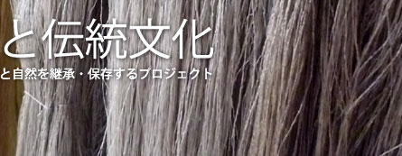 �^�ߍ����̎��R�Ɠ`������