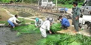 �N�o�݂���