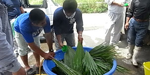 �N�o�݂���