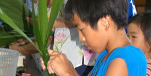 �N�o�݂���