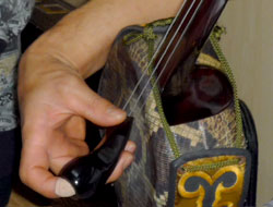 �^�ߍ����̓`���|�\�b�O����