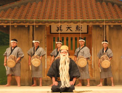 �^�ߍ����̓`���|�\�b����