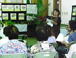 ���炵�̍H�v�W