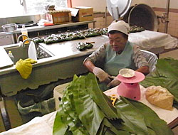 �������P�O���[�v